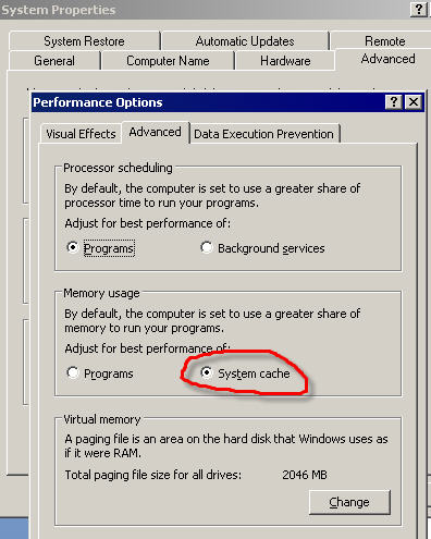 System cache